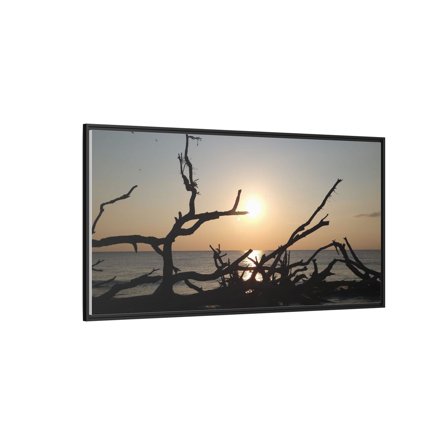 Sunset Driftwood Beach Framed Canvas