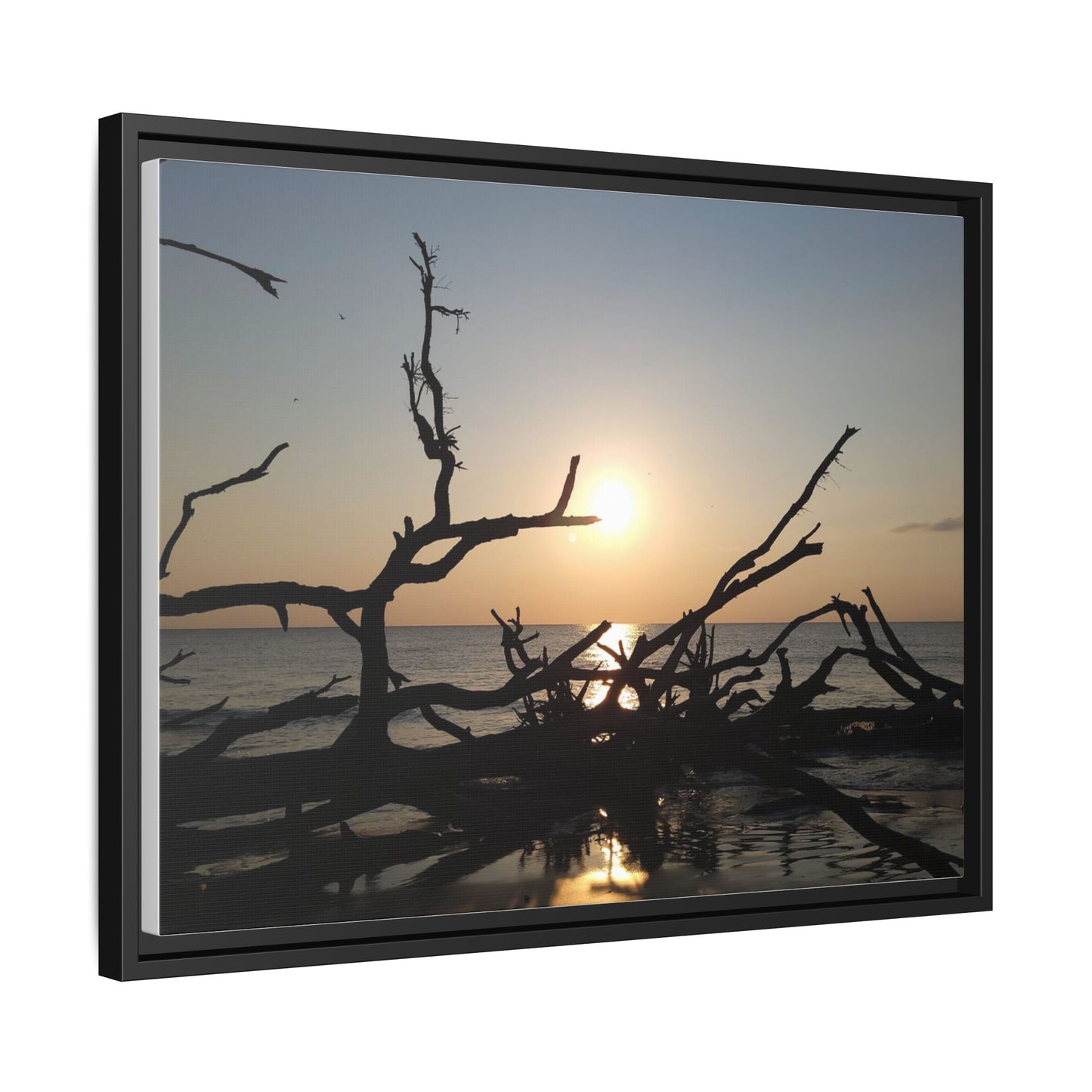Sunset Driftwood Beach Framed Canvas