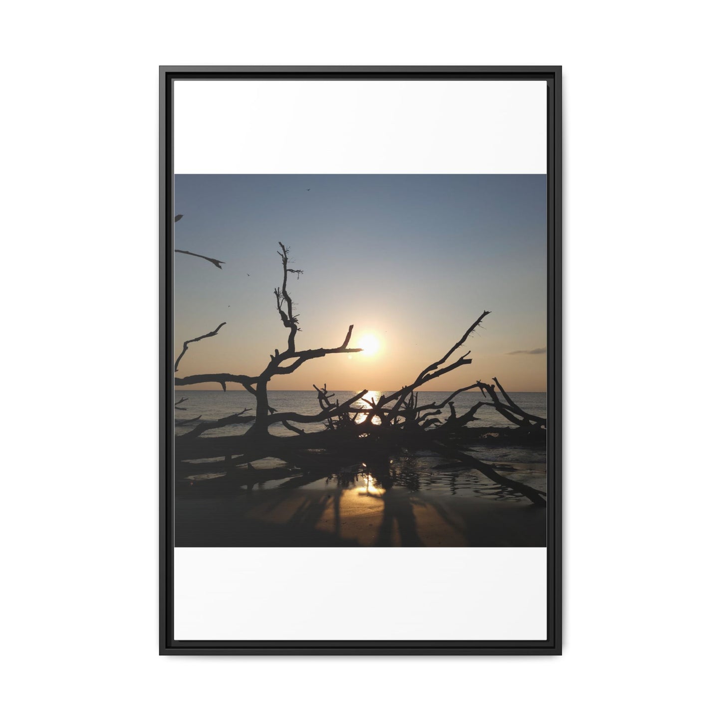 Sunset Driftwood Beach Framed Canvas