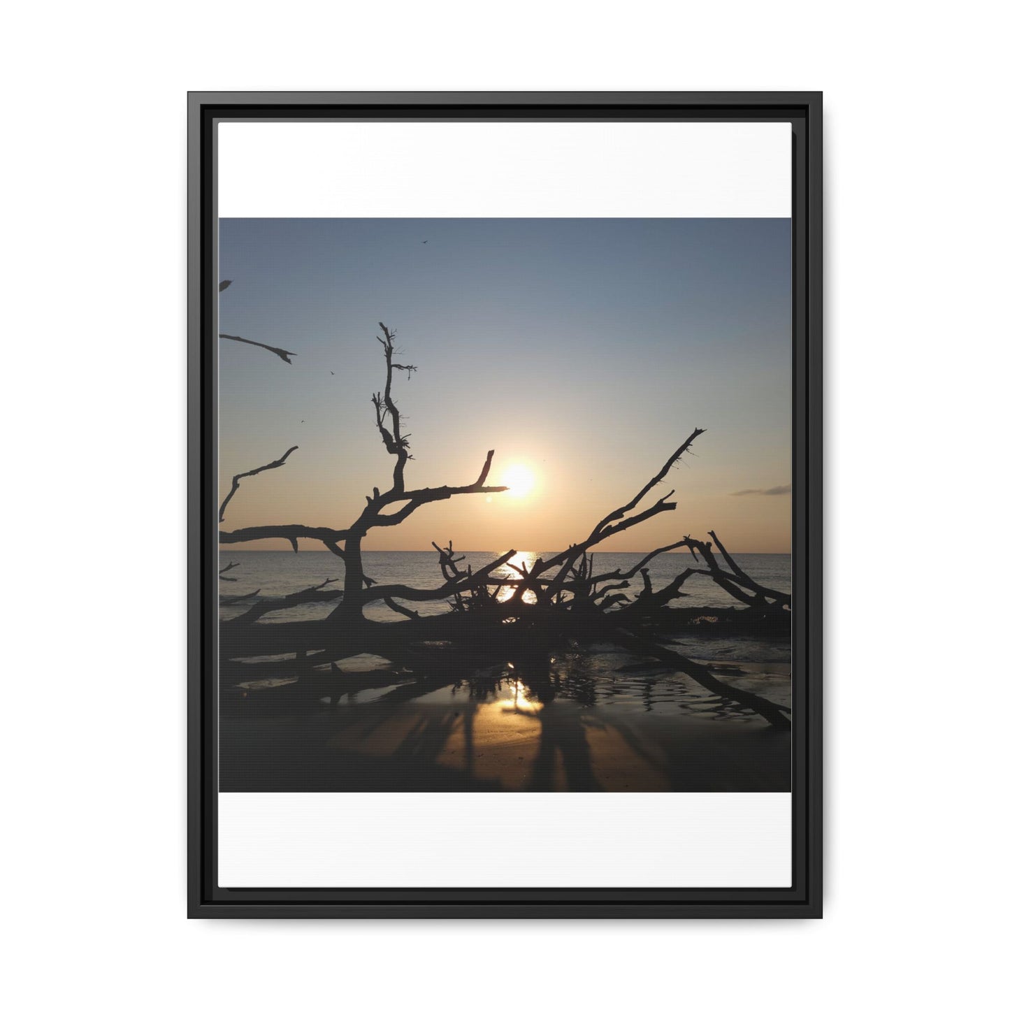 Sunset Driftwood Beach Framed Canvas