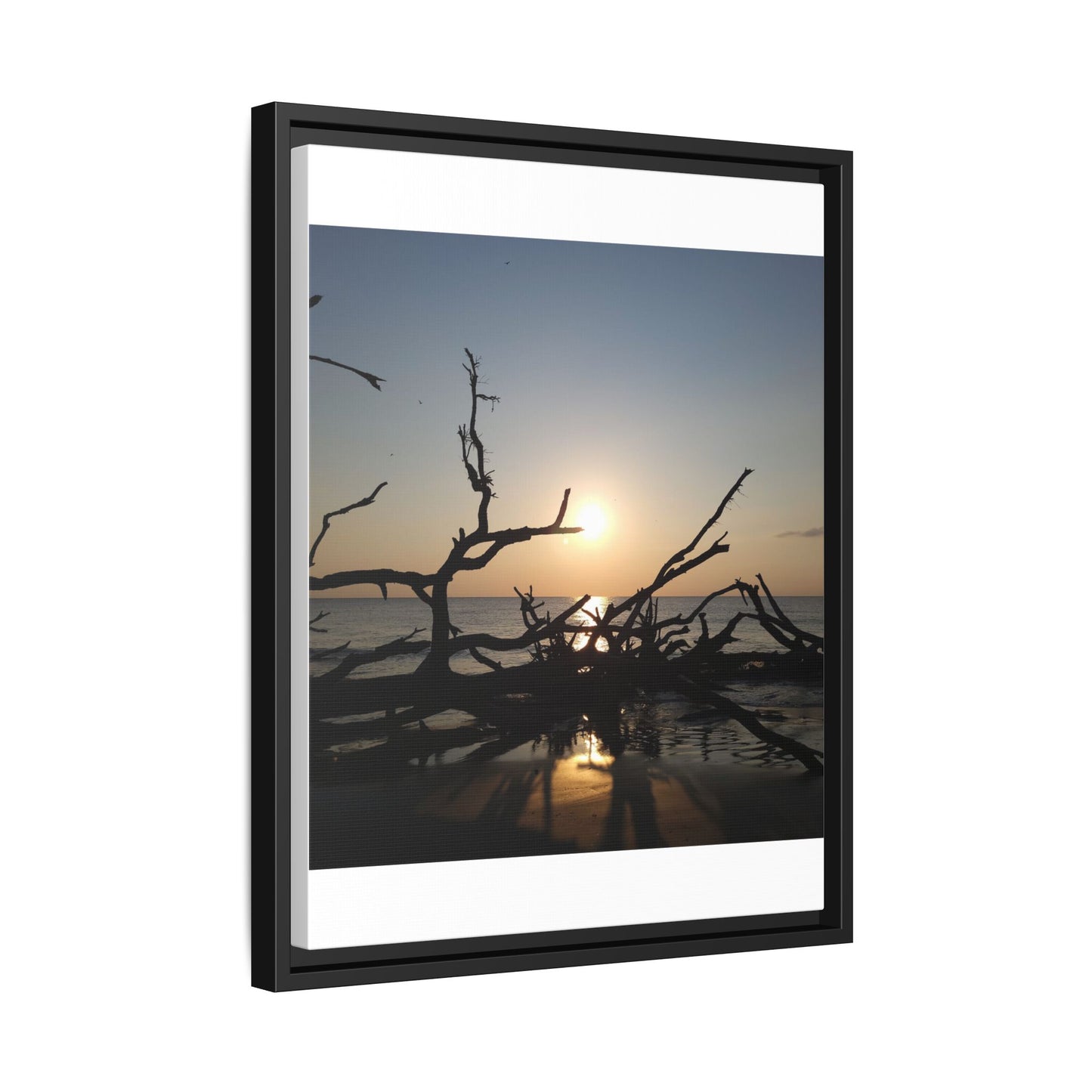 Sunset Driftwood Beach Framed Canvas