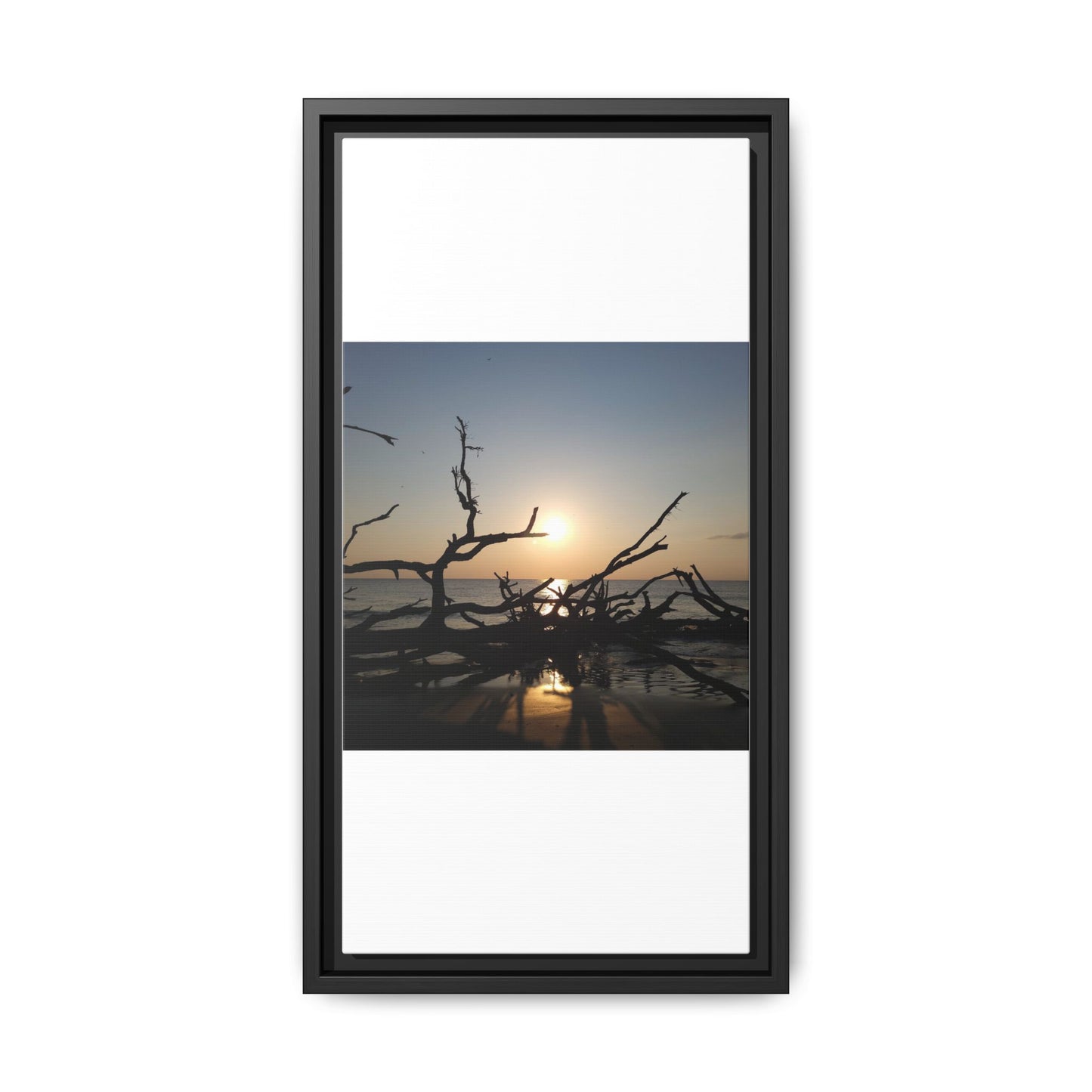 Sunset Driftwood Beach Framed Canvas