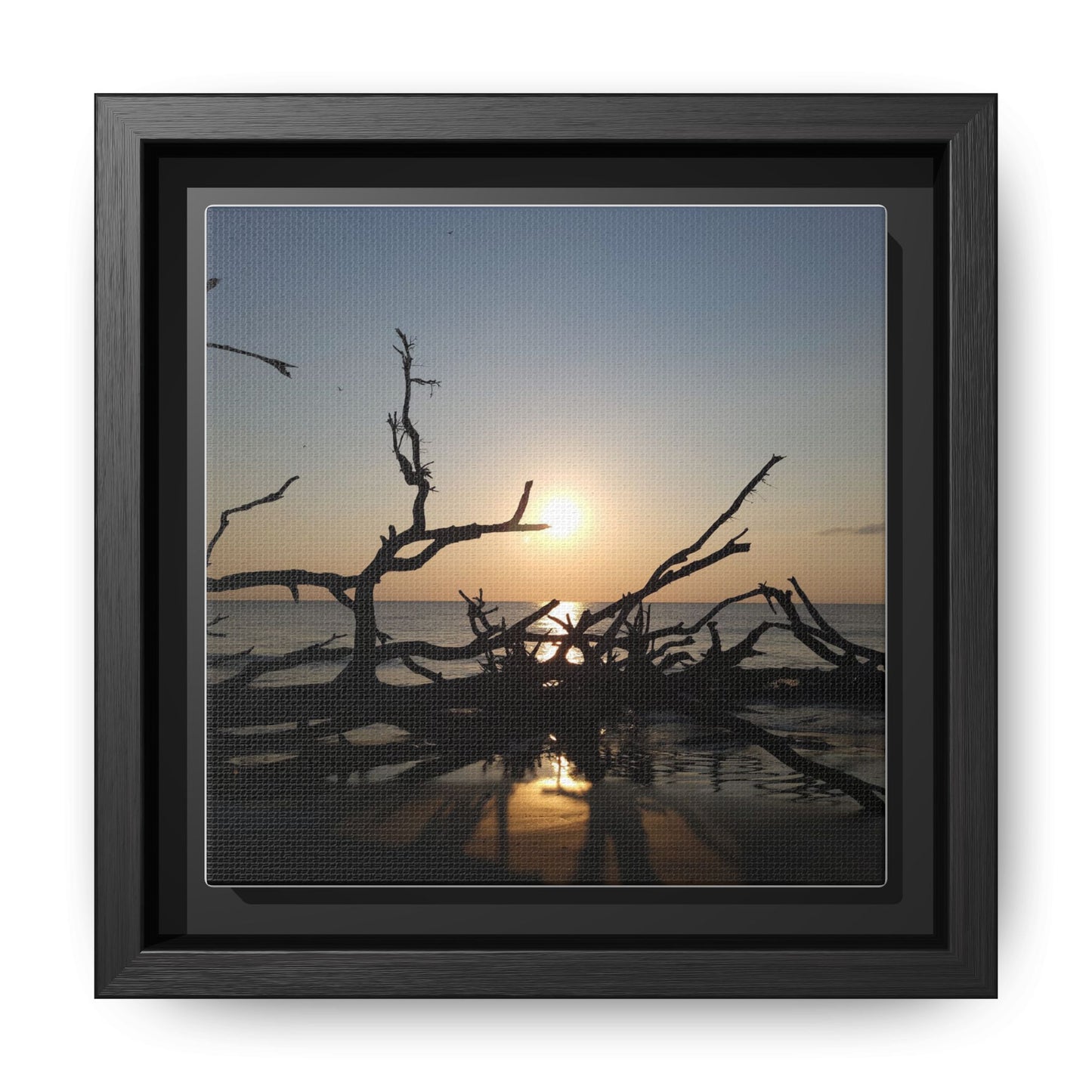 Sunset Driftwood Beach Framed Canvas
