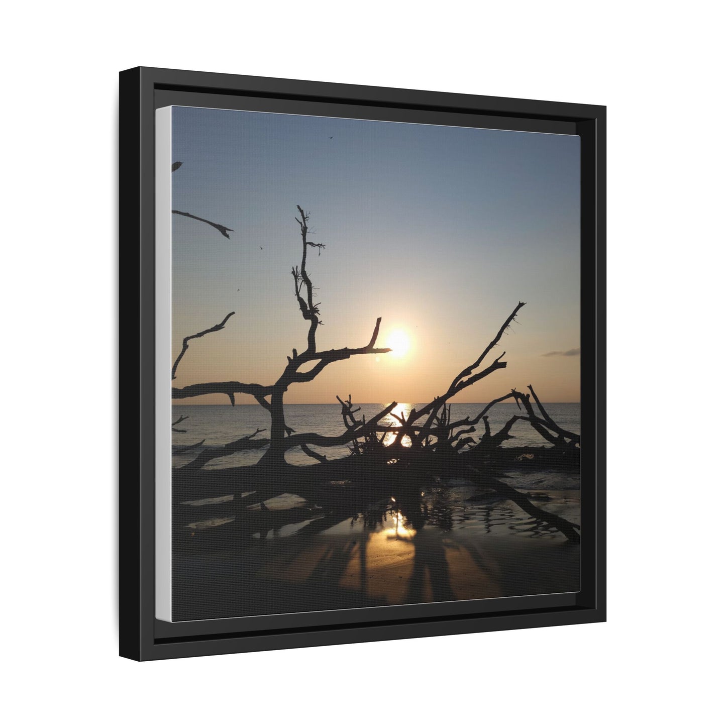 Sunset Driftwood Beach Framed Canvas
