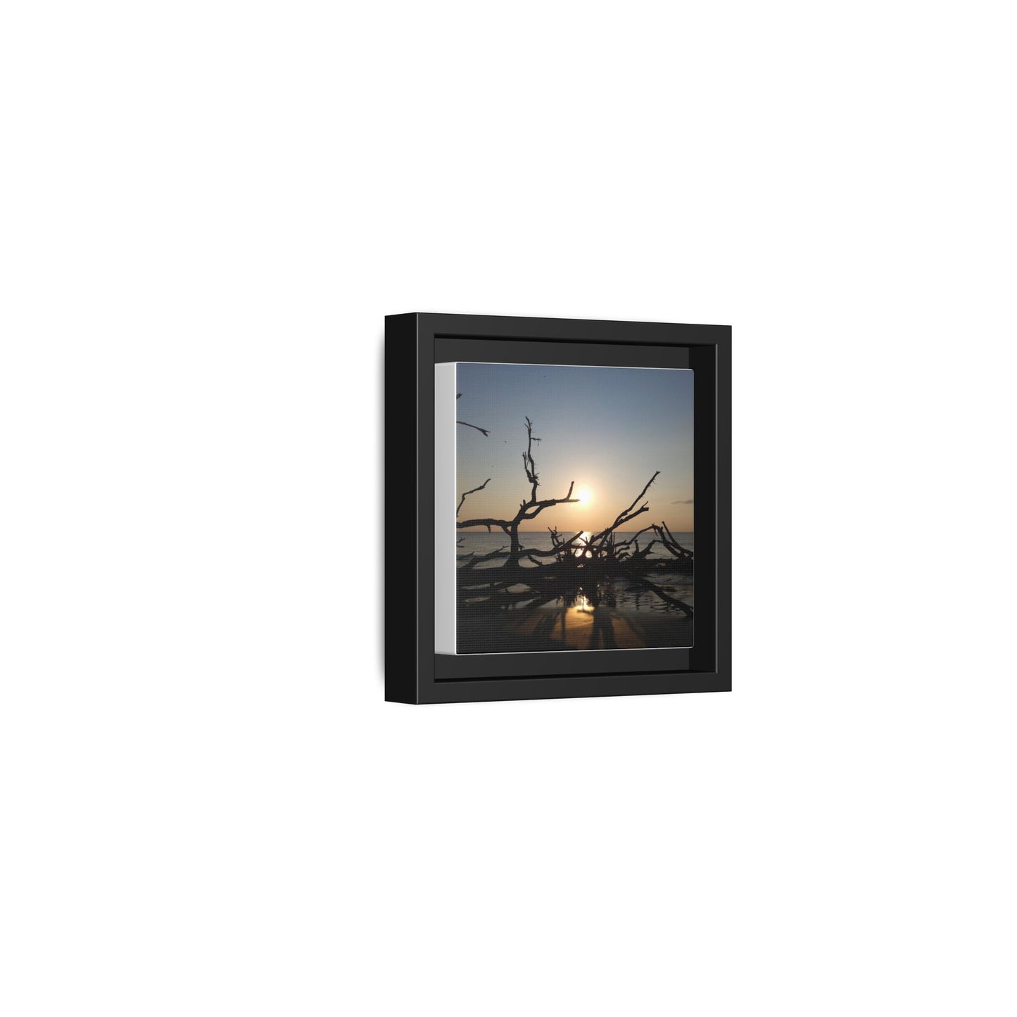 Sunset Driftwood Beach Framed Canvas