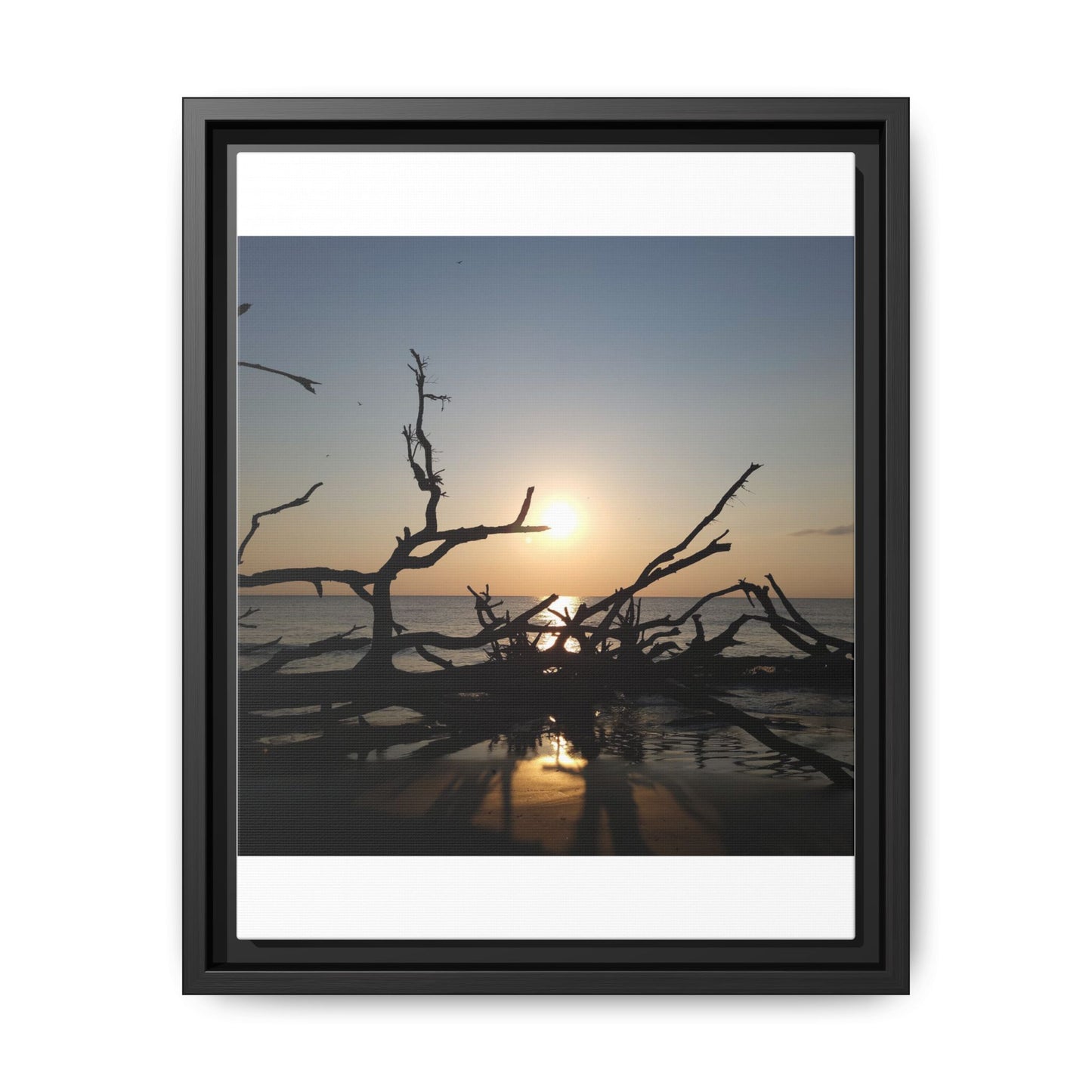 Sunset Driftwood Beach Framed Canvas