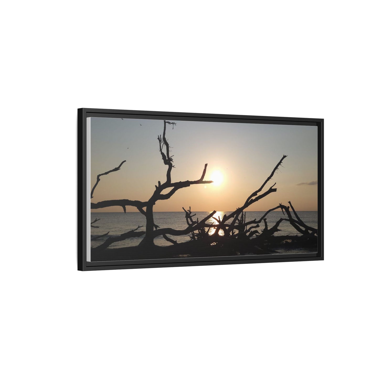 Sunset Driftwood Beach Framed Canvas