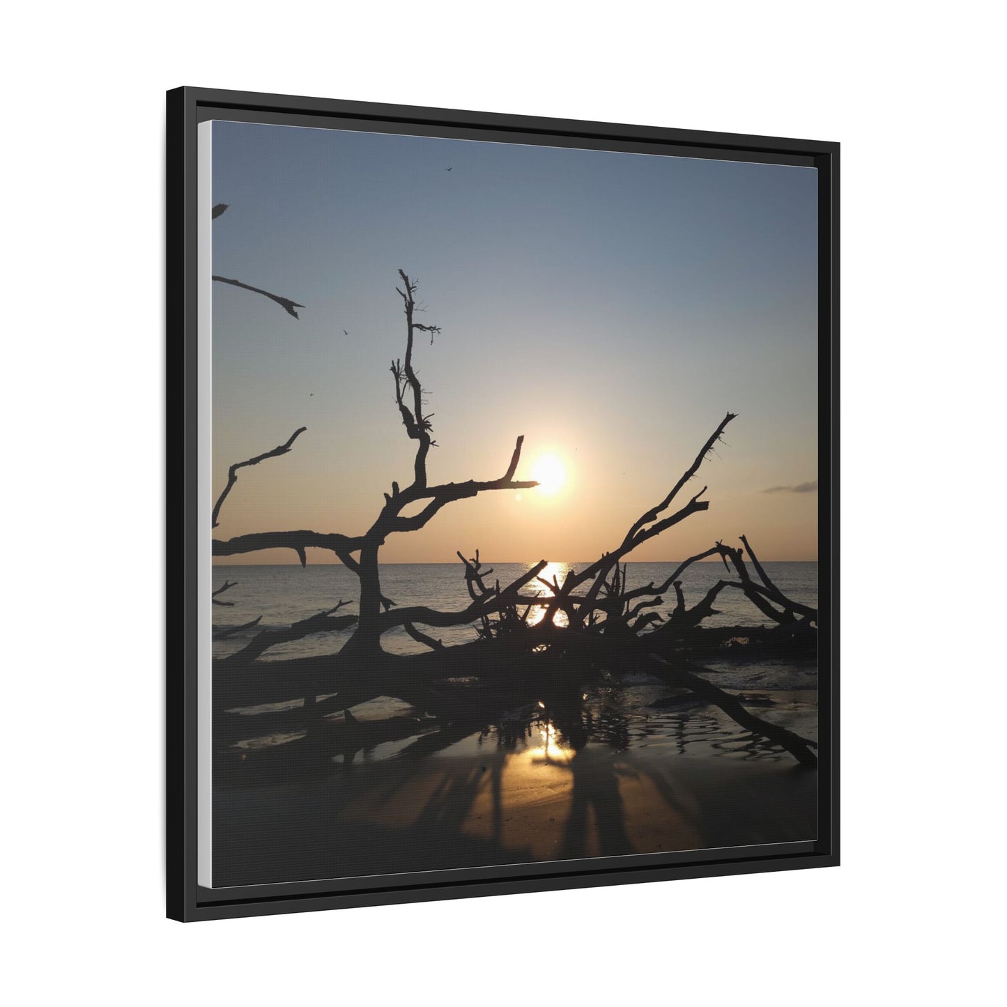 Sunset Driftwood Beach Framed Canvas