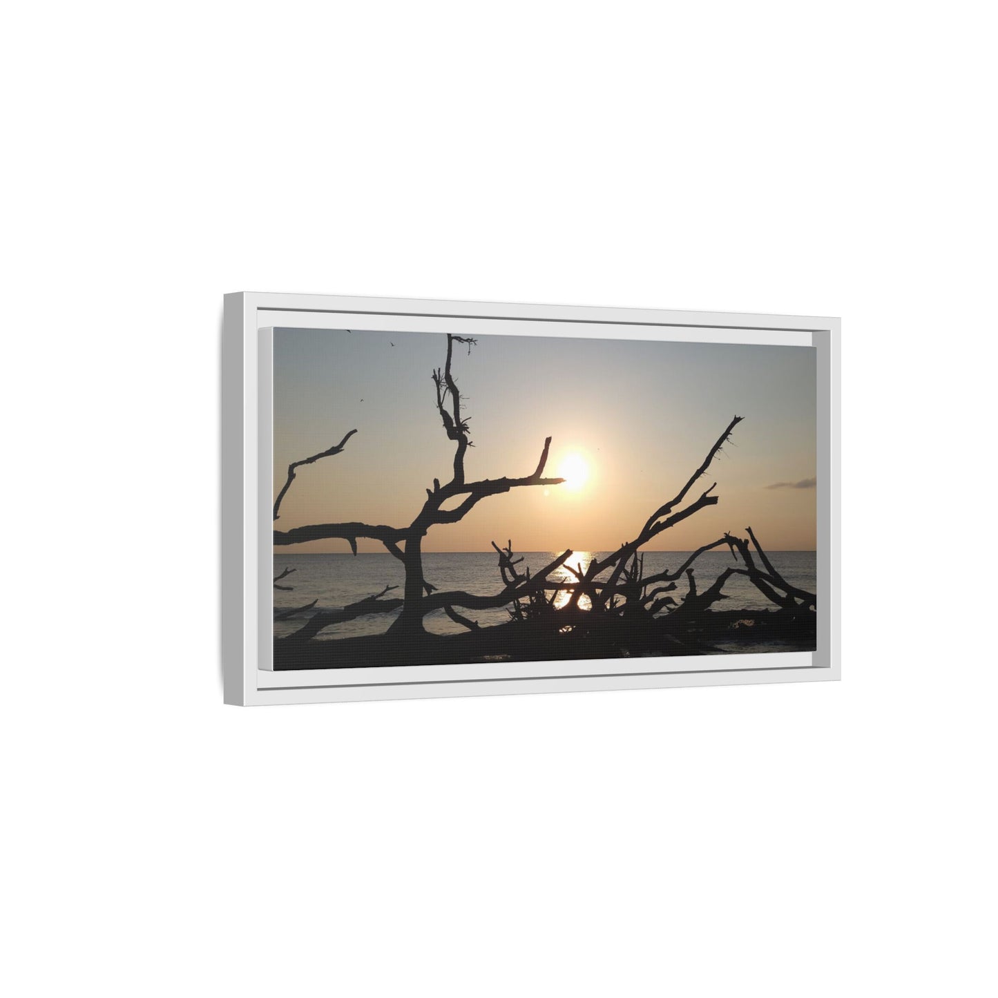 Sunset Driftwood Beach Framed Canvas