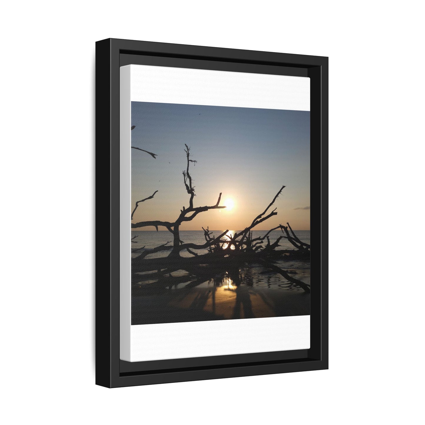 Sunset Driftwood Beach Framed Canvas