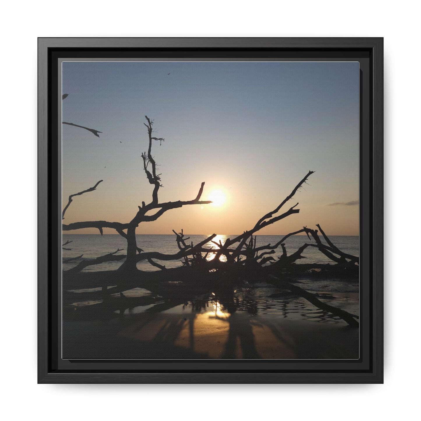 Sunset Driftwood Beach Framed Canvas