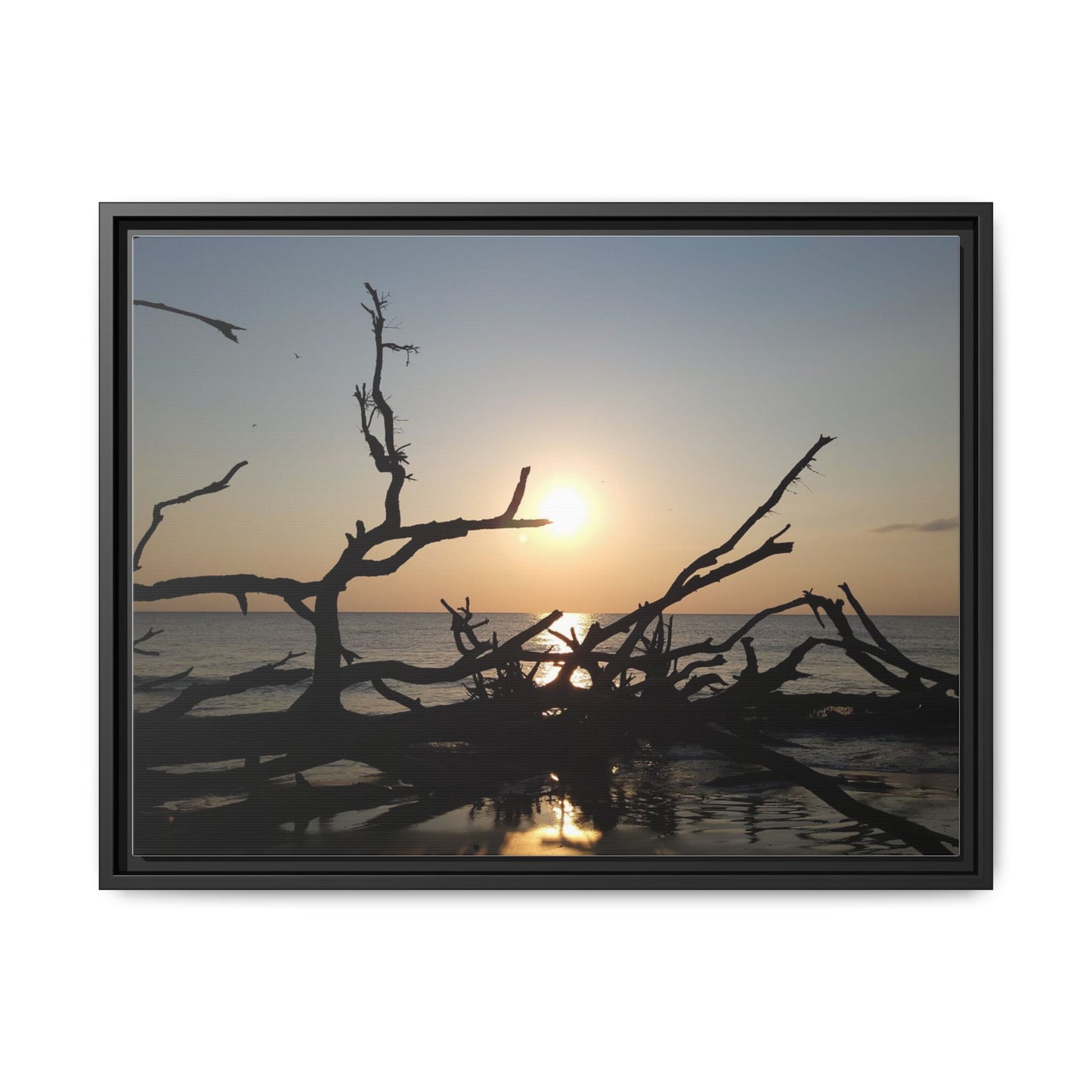 Sunset Driftwood Beach Framed Canvas