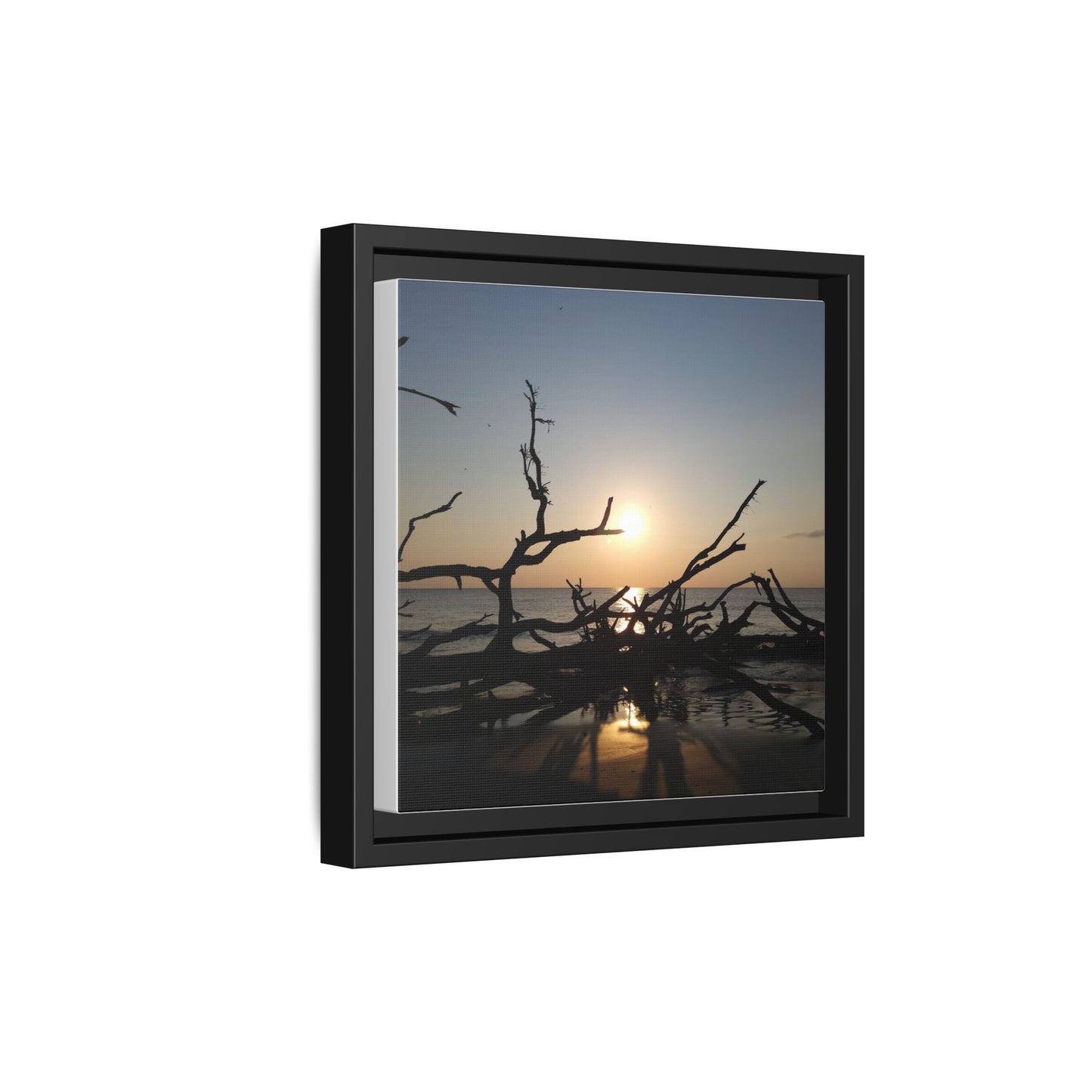 Sunset Driftwood Beach Framed Canvas