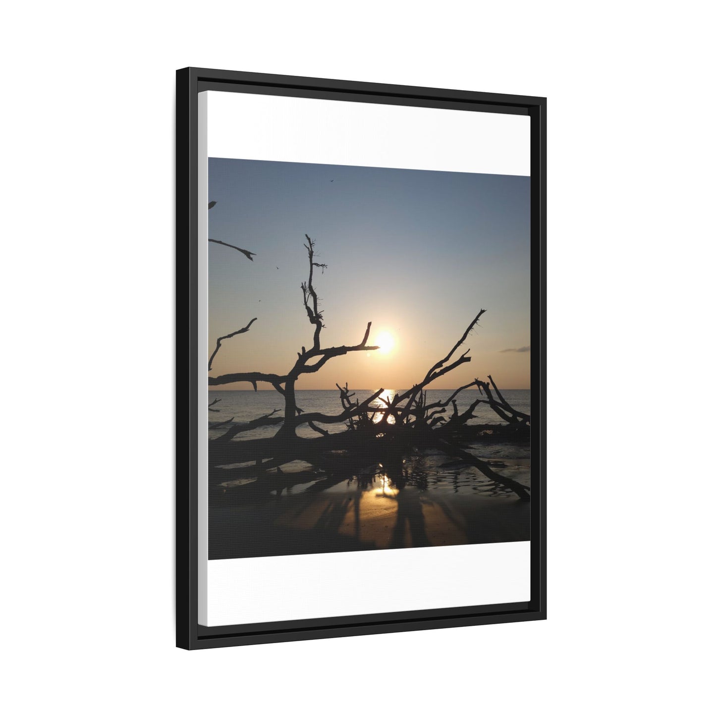 Sunset Driftwood Beach Framed Canvas
