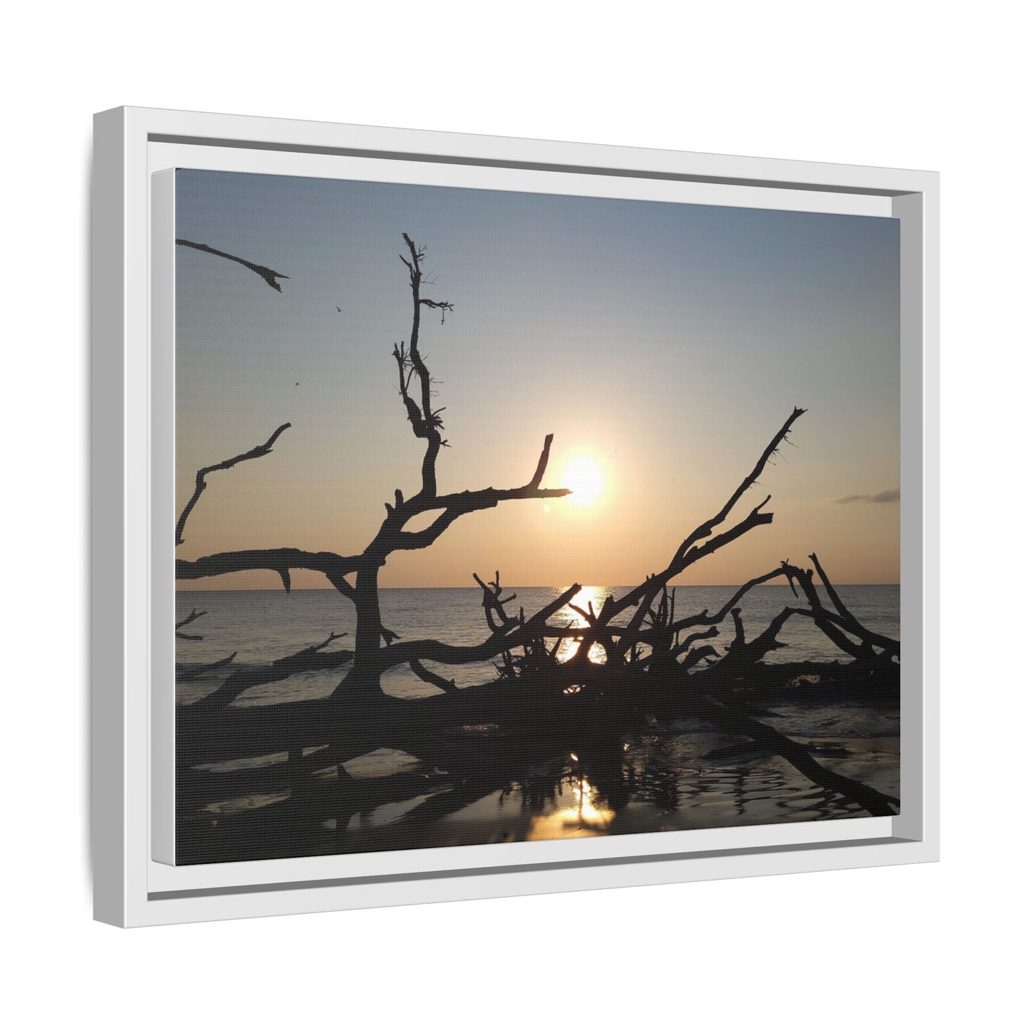 Sunset Driftwood Beach Framed Canvas