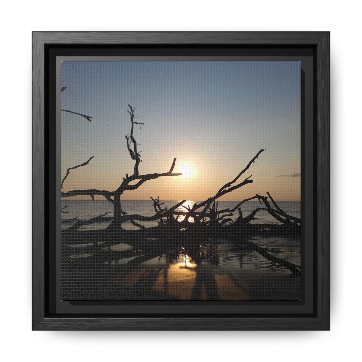 Sunset Driftwood Beach Framed Canvas