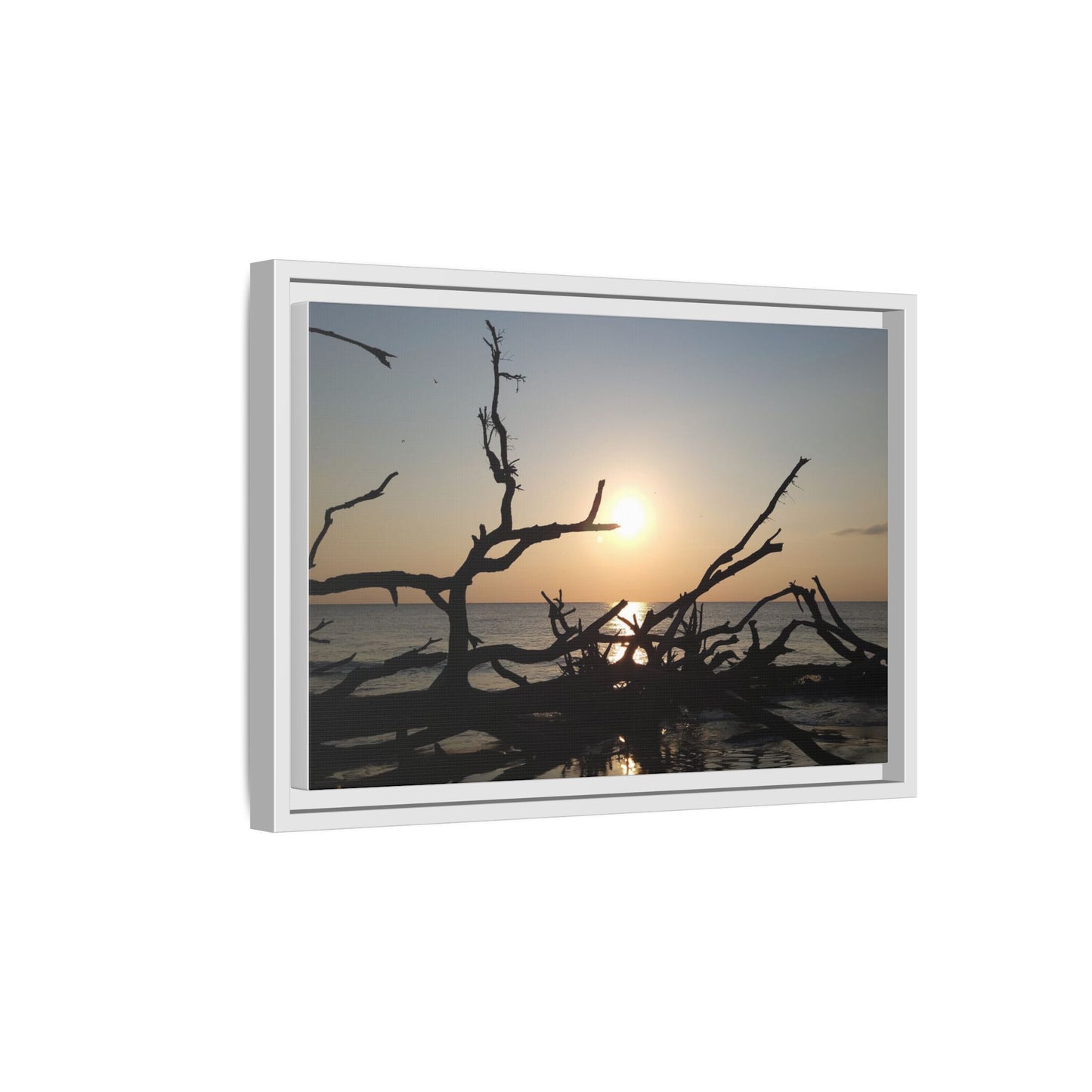 Sunset Driftwood Beach Framed Canvas