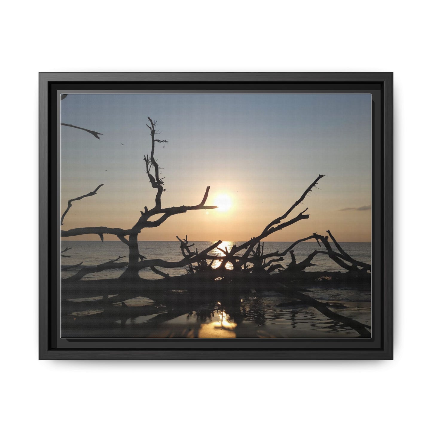 Sunset Driftwood Beach Framed Canvas