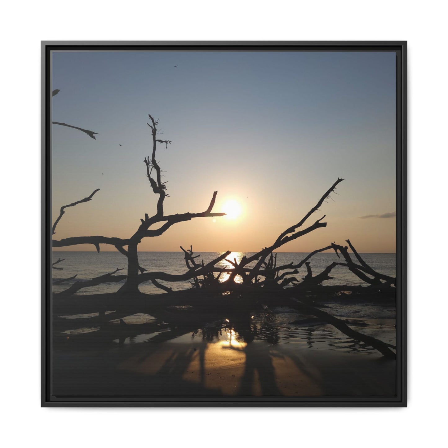 Sunset Driftwood Beach Framed Canvas