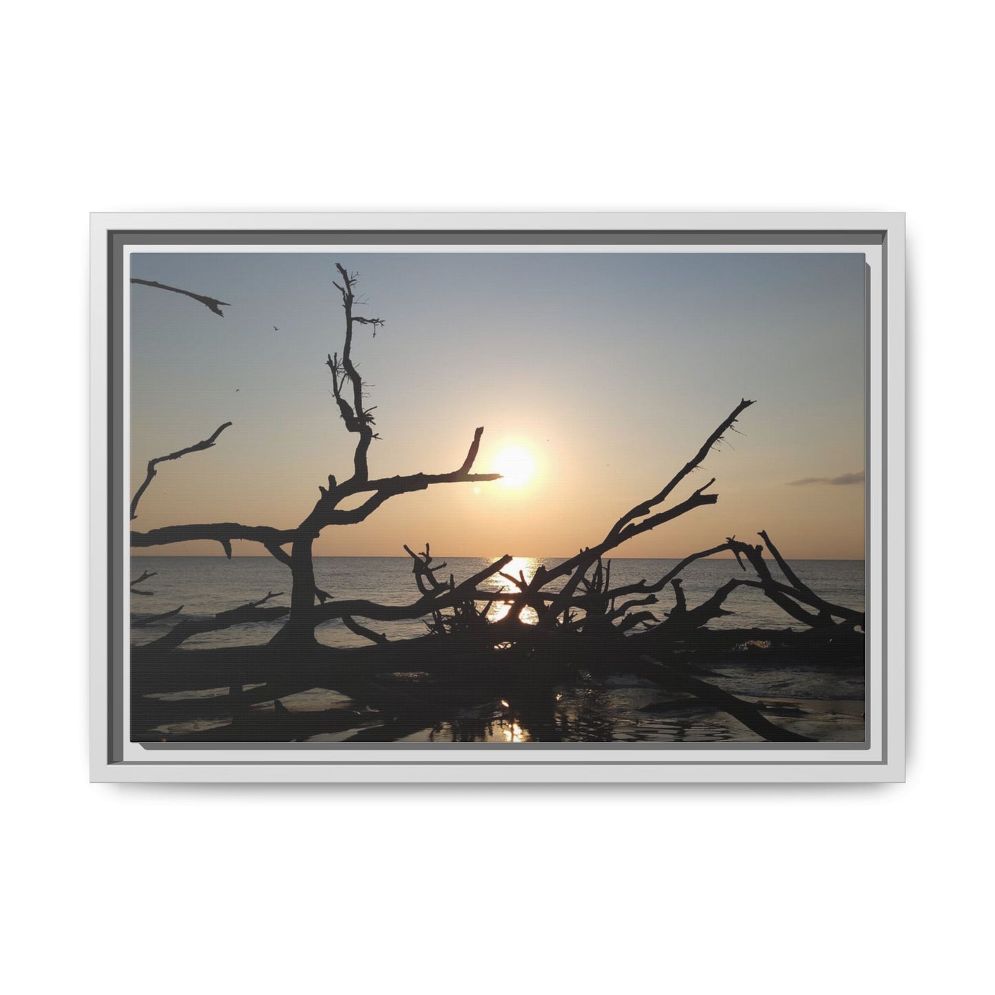 Sunset Driftwood Beach Framed Canvas