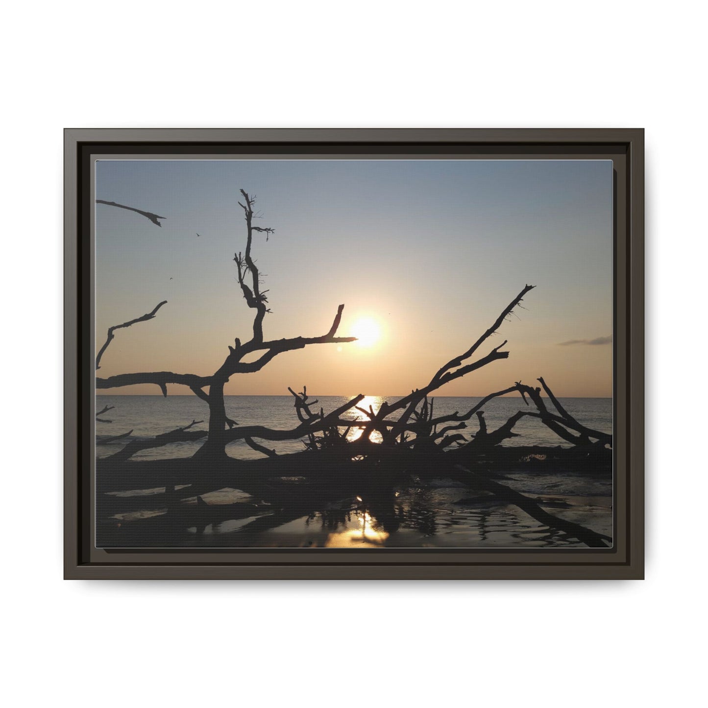 Sunset Driftwood Beach Framed Canvas