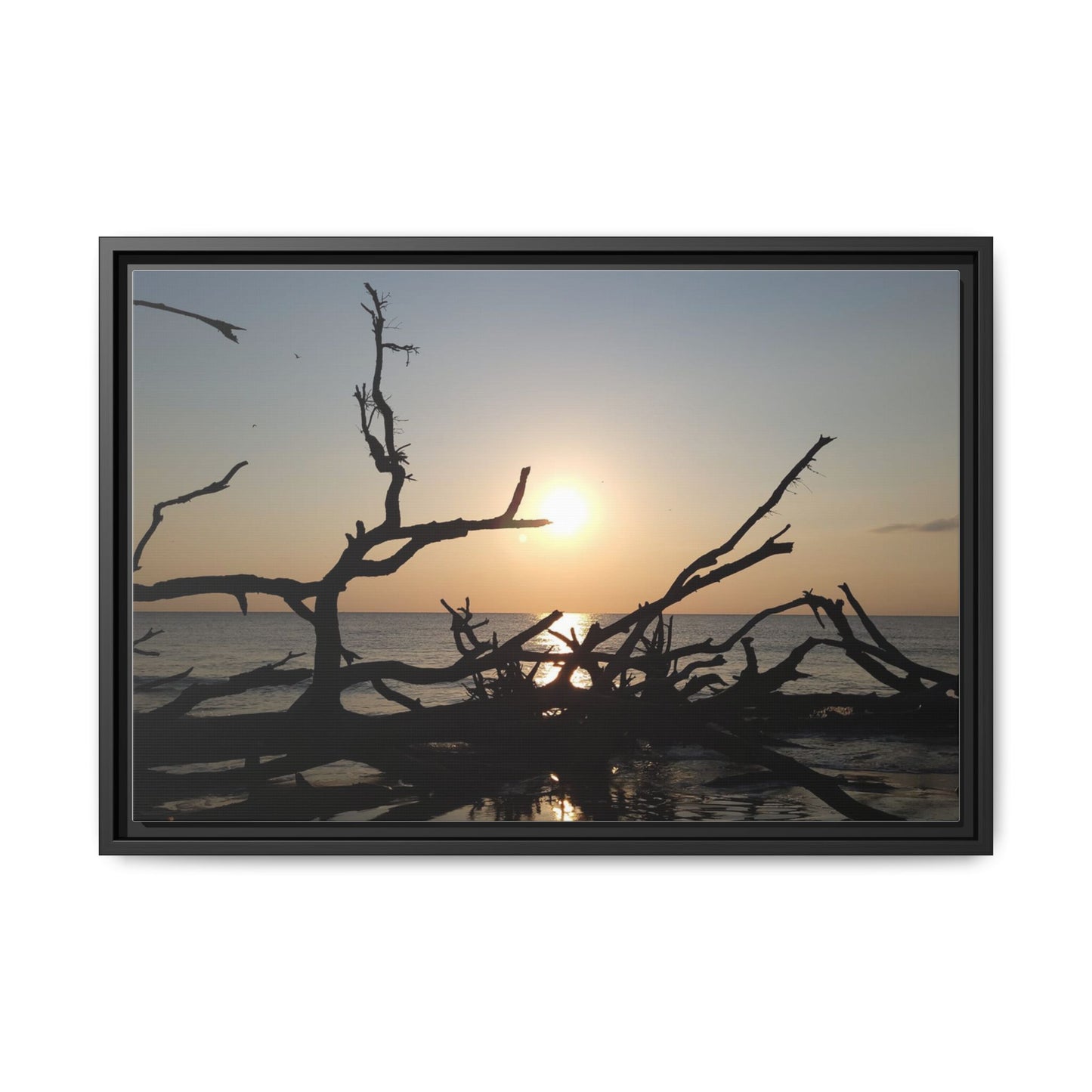 Sunset Driftwood Beach Framed Canvas