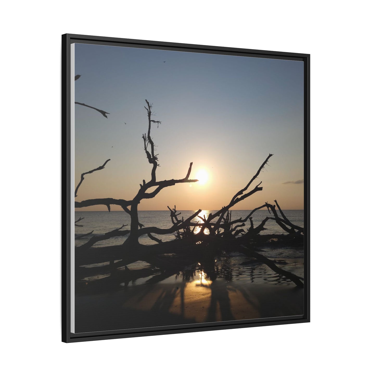 Sunset Driftwood Beach Framed Canvas