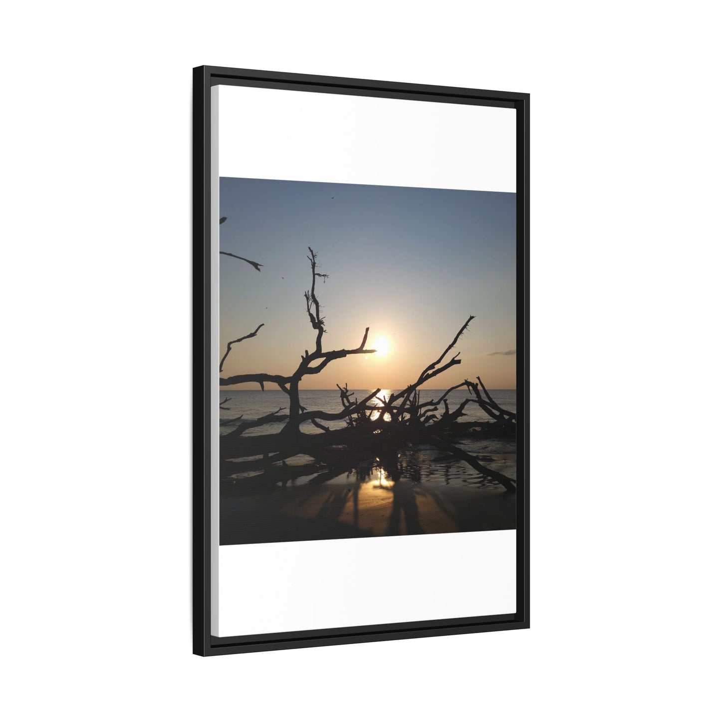 Sunset Driftwood Beach Framed Canvas
