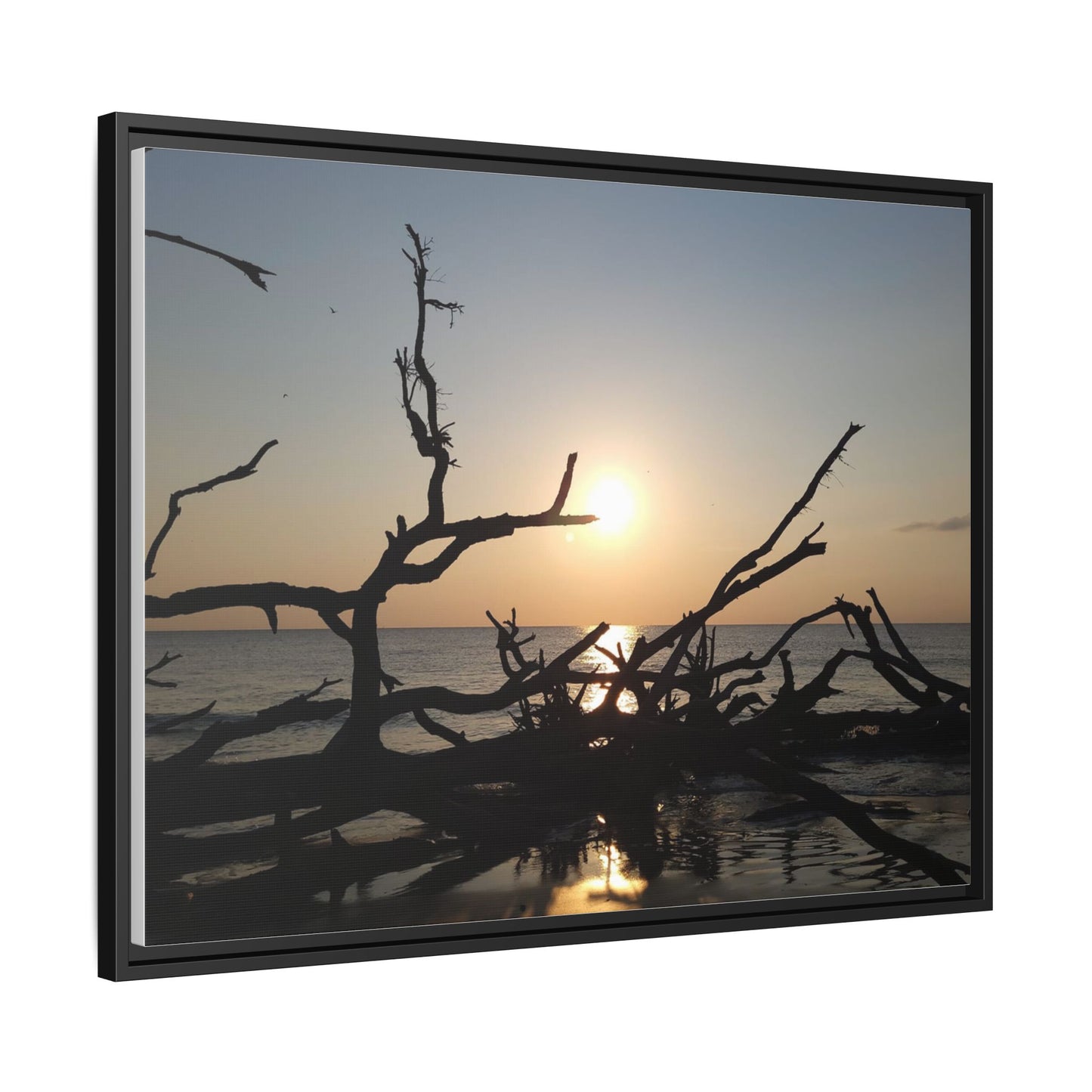 Sunset Driftwood Beach Framed Canvas