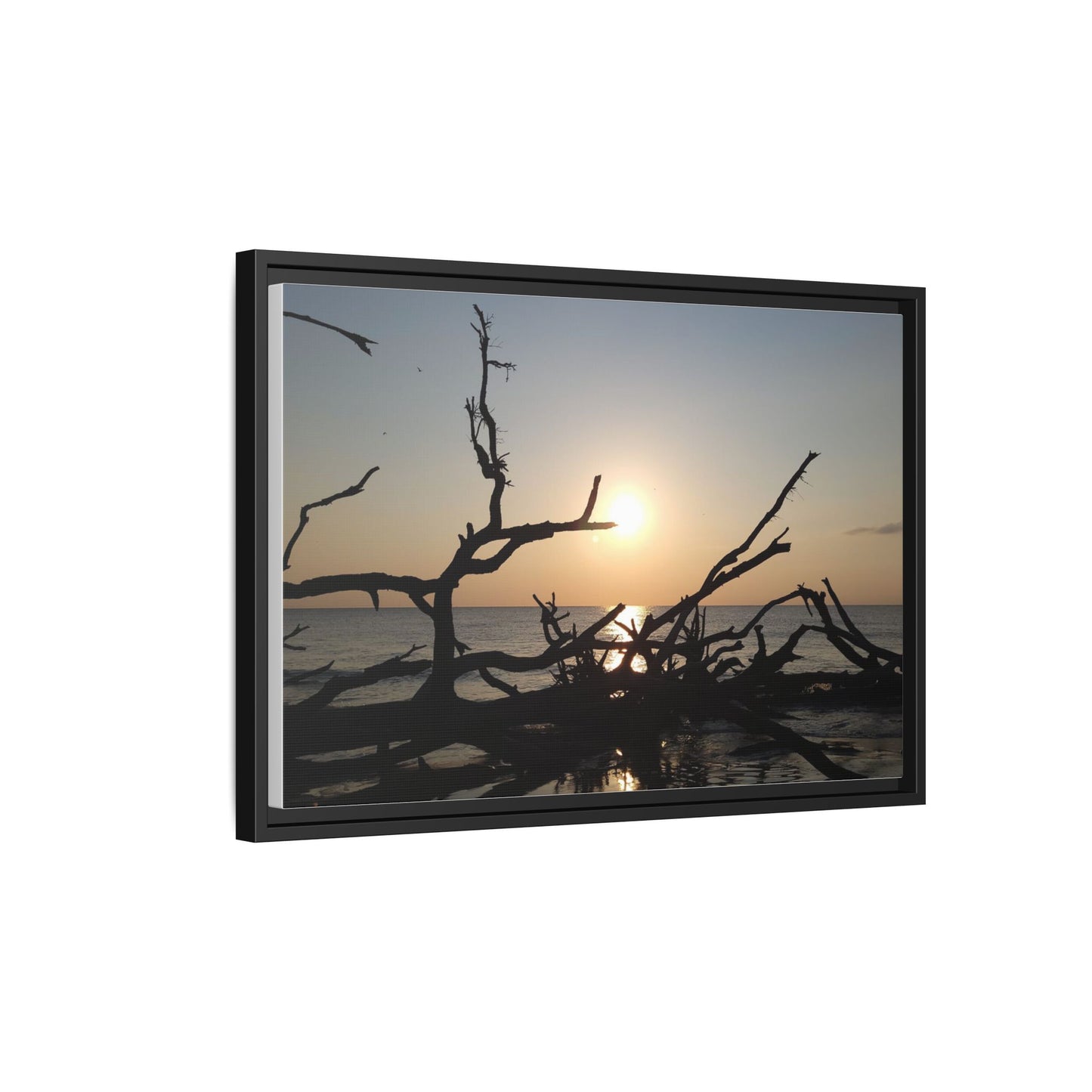 Sunset Driftwood Beach Framed Canvas