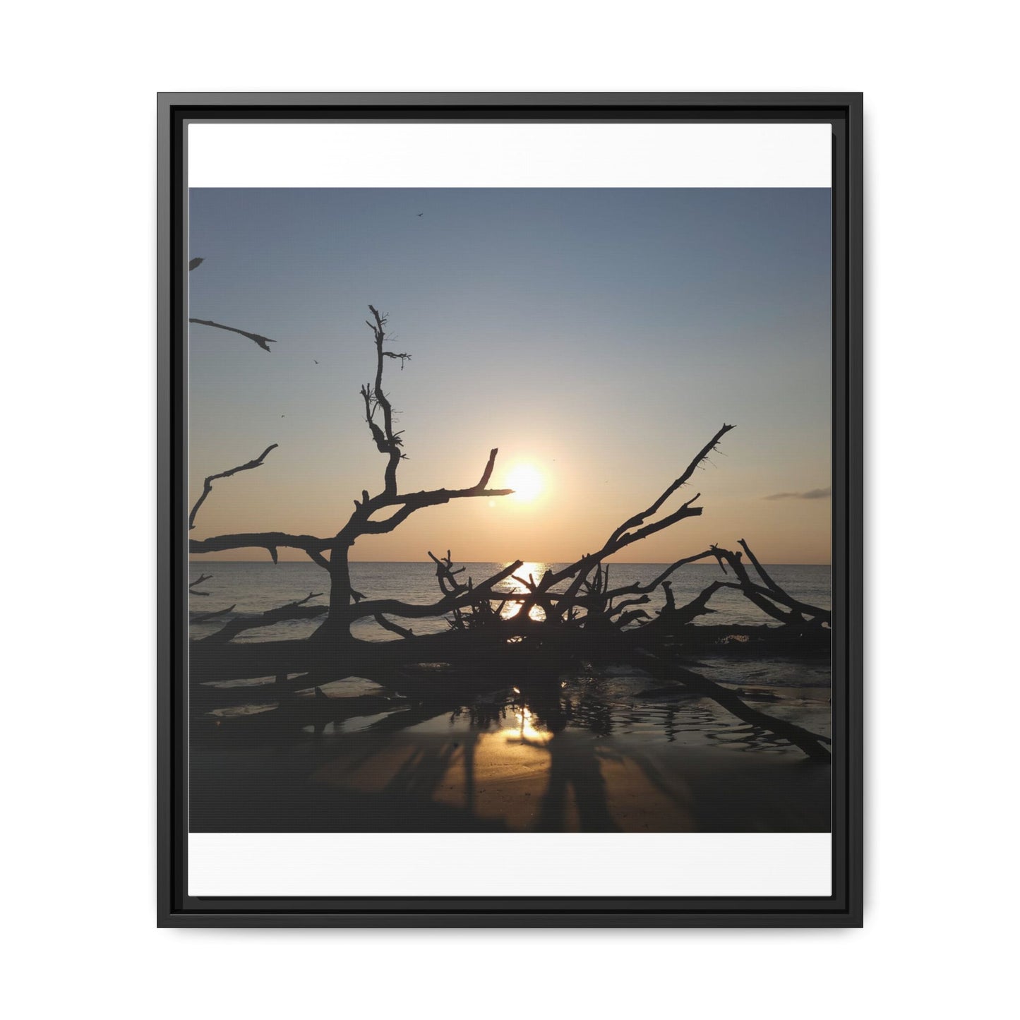 Sunset Driftwood Beach Framed Canvas