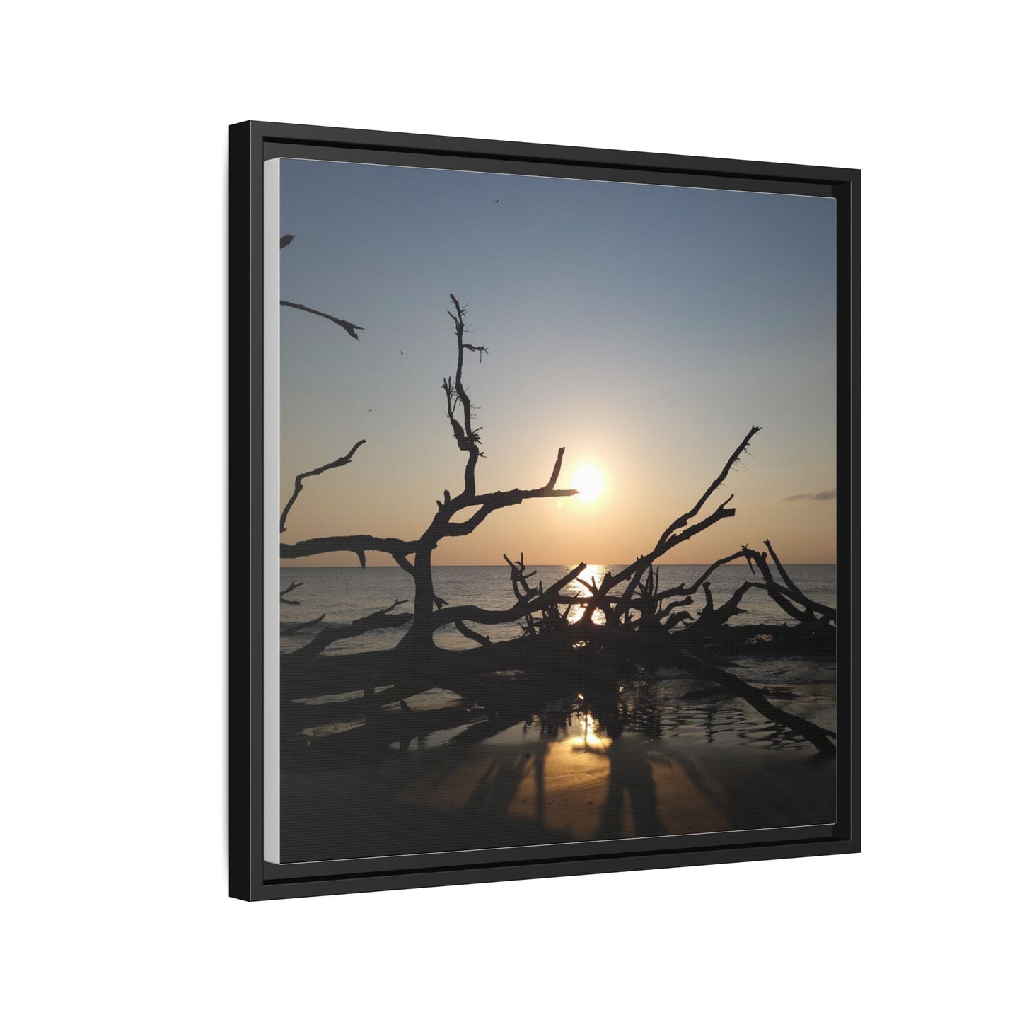 Sunset Driftwood Beach Framed Canvas