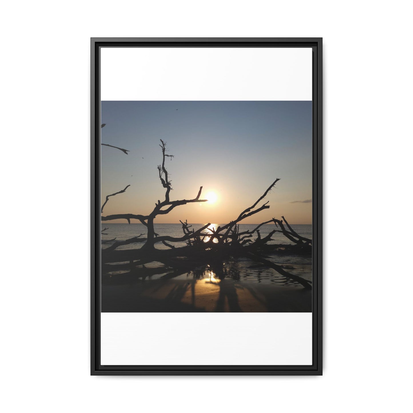 Sunset Driftwood Beach Framed Canvas
