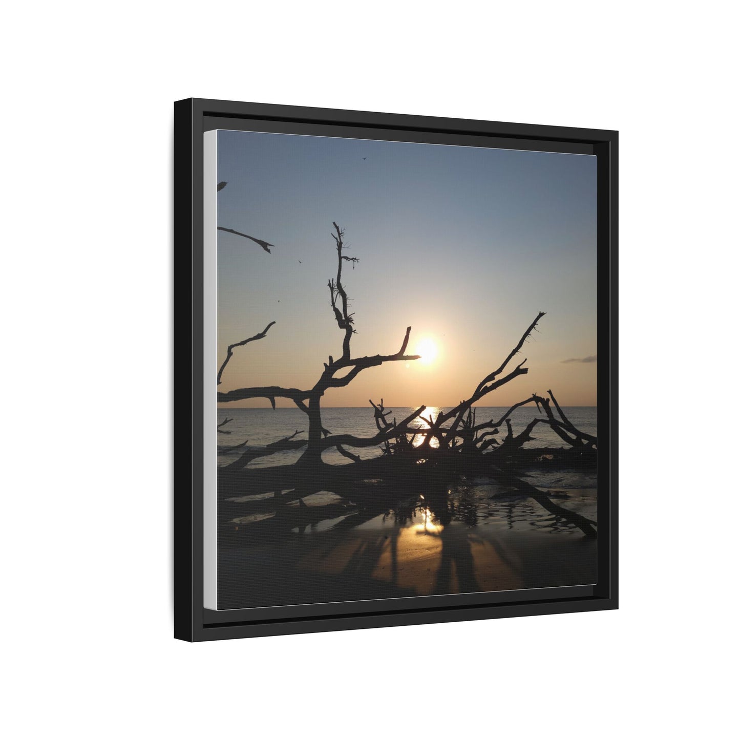 Sunset Driftwood Beach Framed Canvas