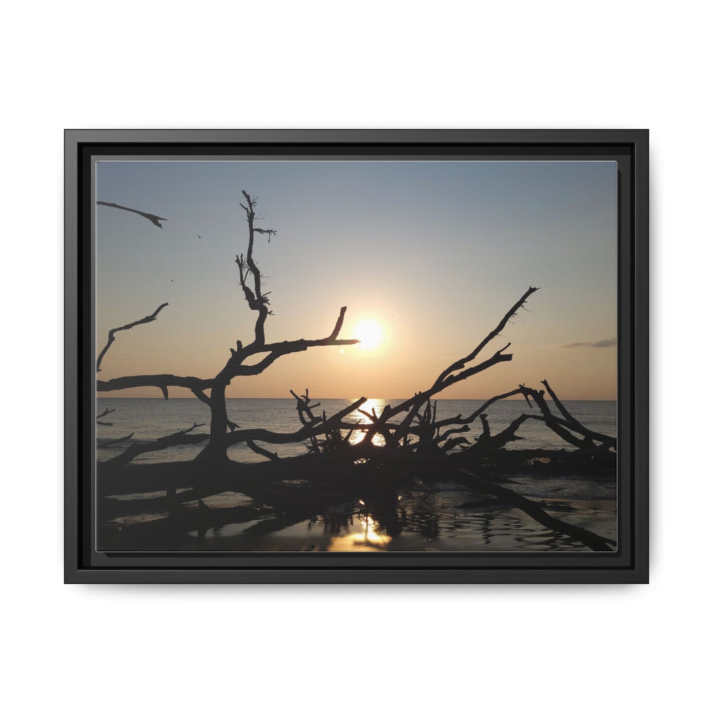 Sunset Driftwood Beach Framed Canvas