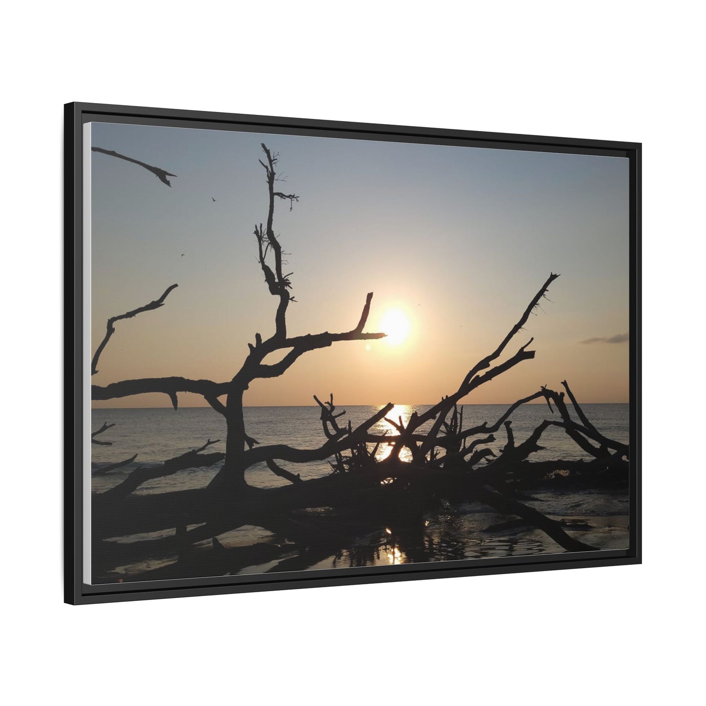 Sunset Driftwood Beach Framed Canvas