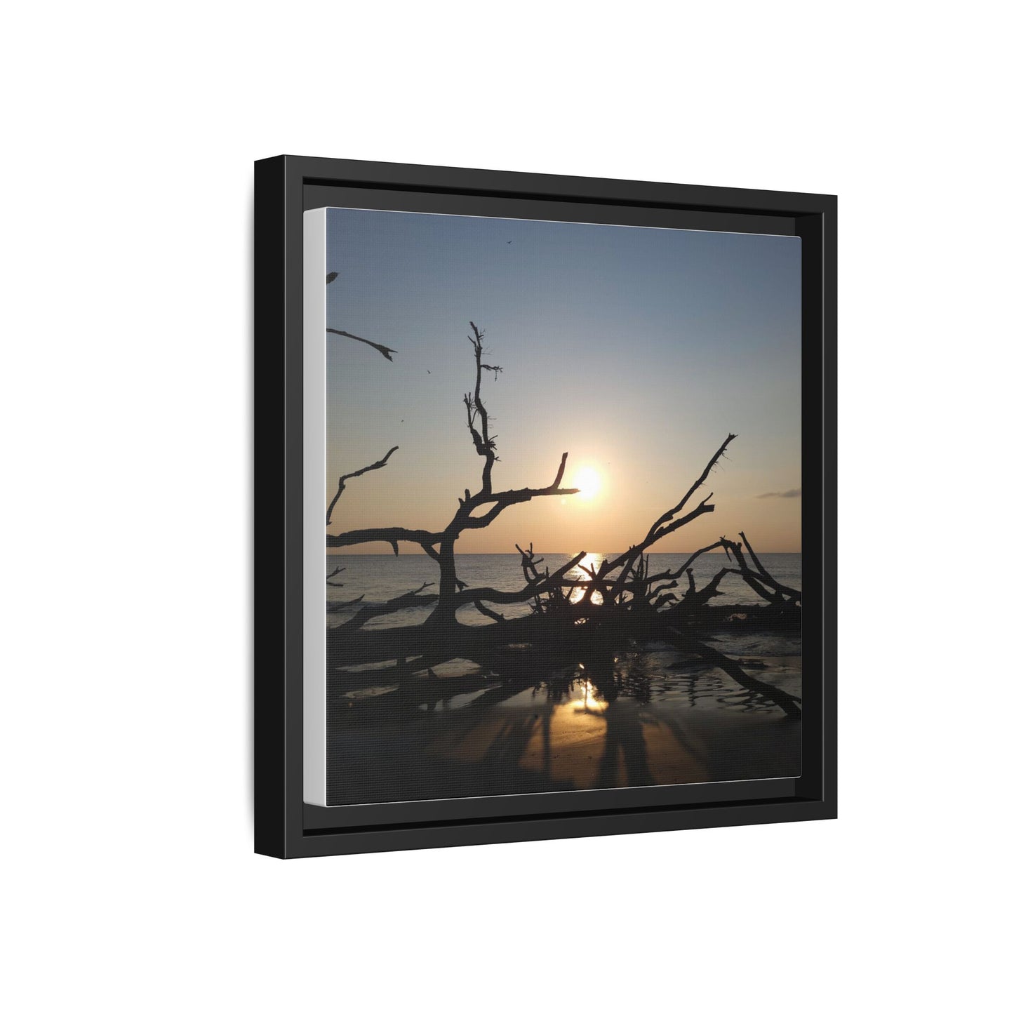 Sunset Driftwood Beach Framed Canvas