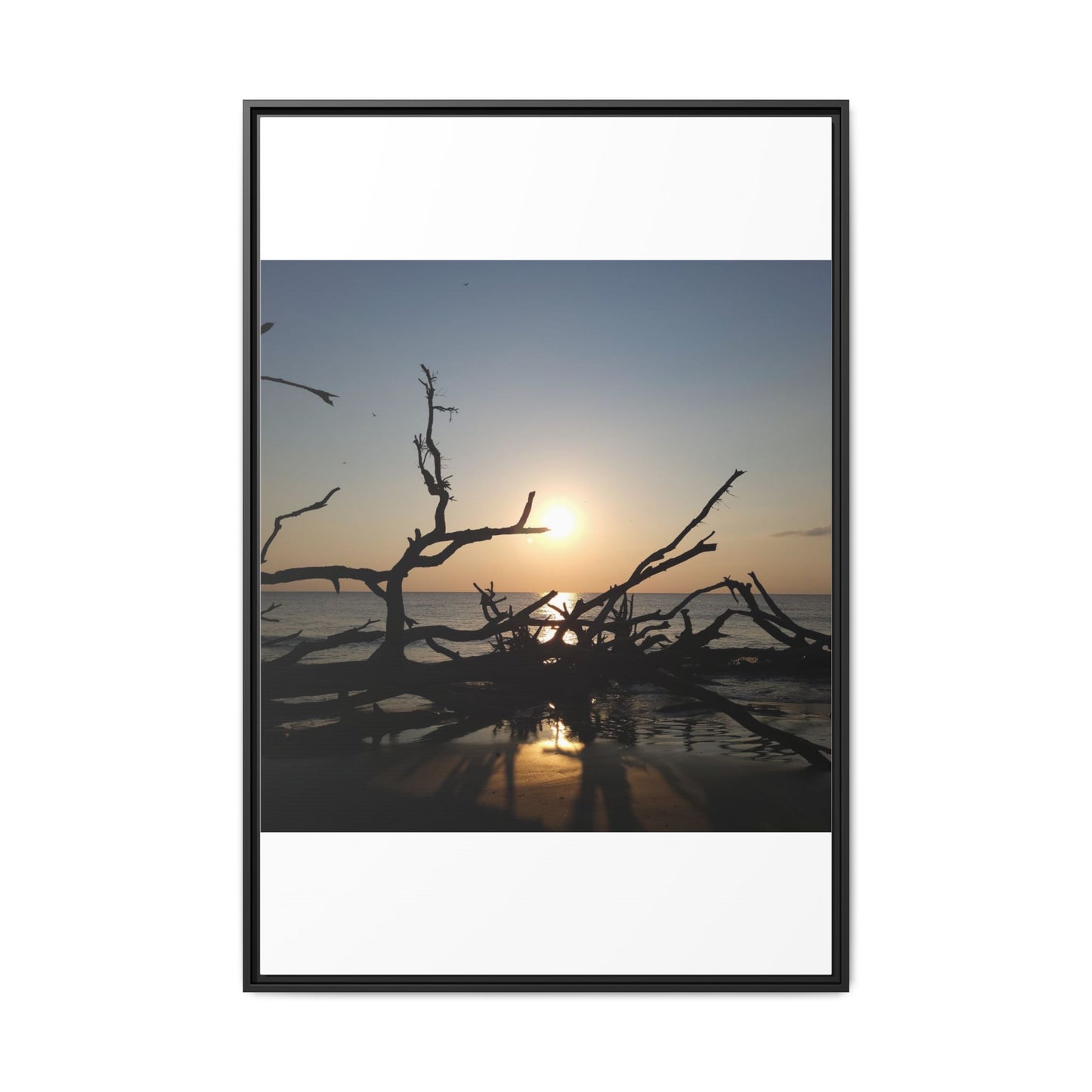 Sunset Driftwood Beach Framed Canvas