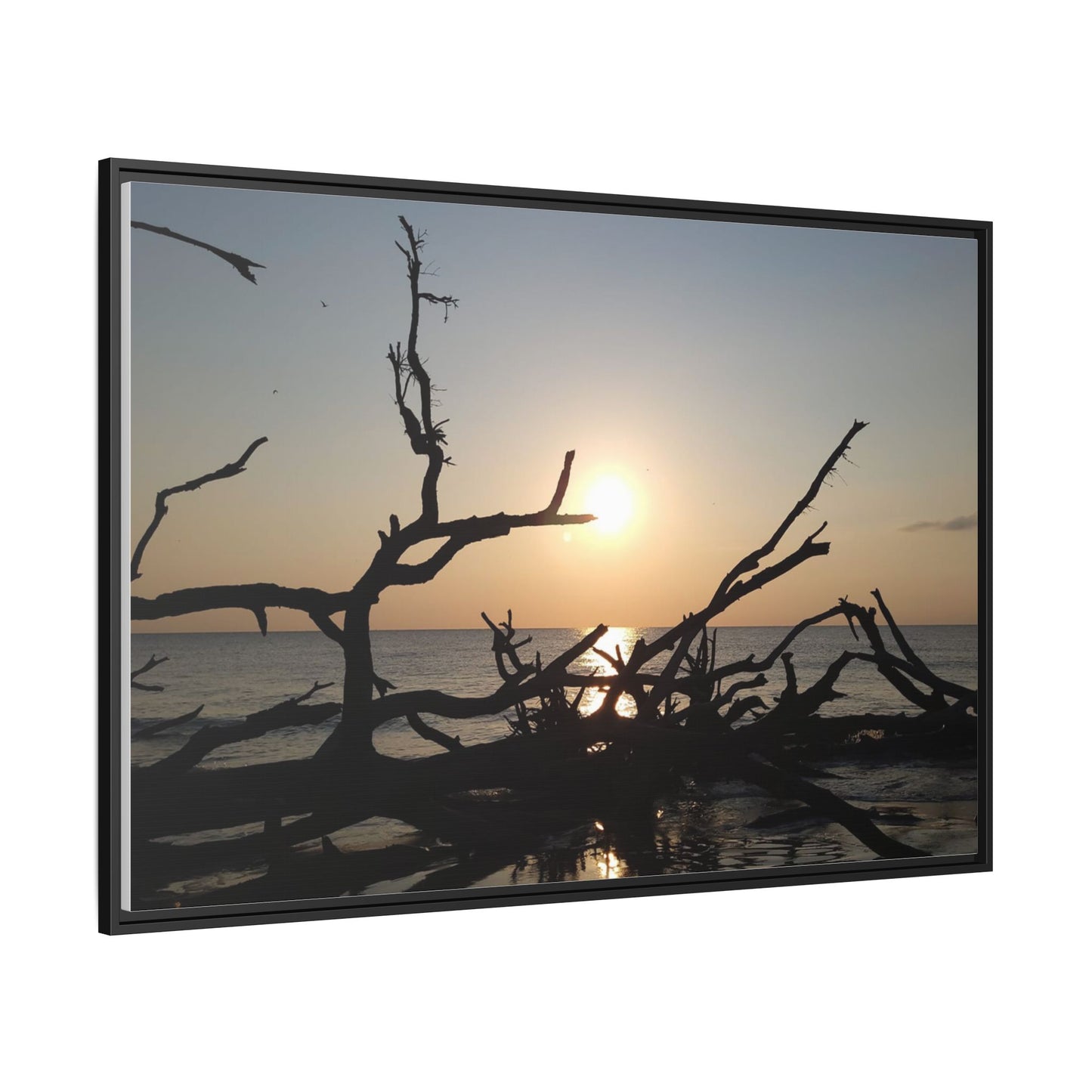 Sunset Driftwood Beach Framed Canvas
