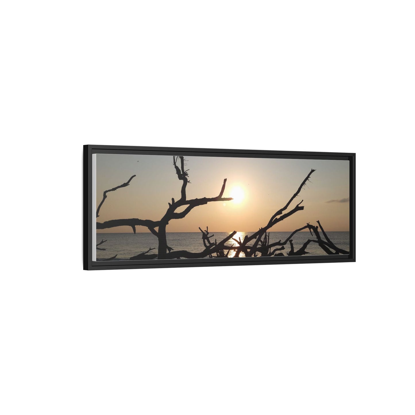 Sunset Driftwood Beach Framed Canvas