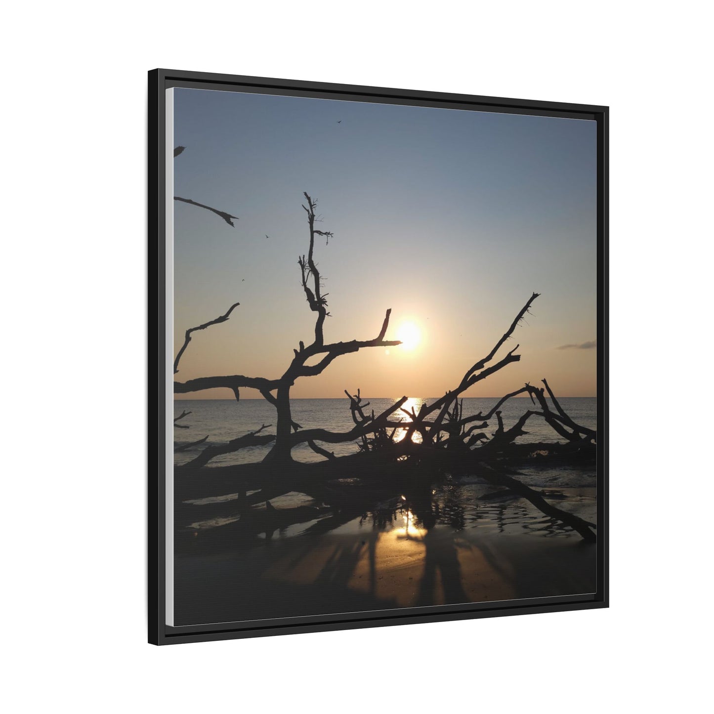 Sunset Driftwood Beach Framed Canvas
