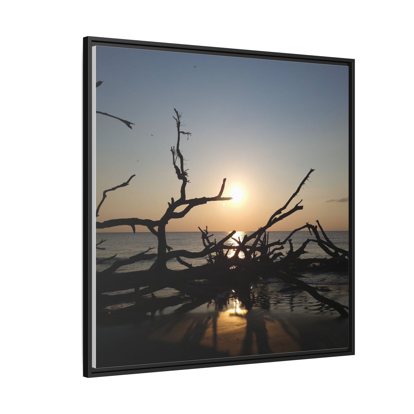 Sunset Driftwood Beach Framed Canvas