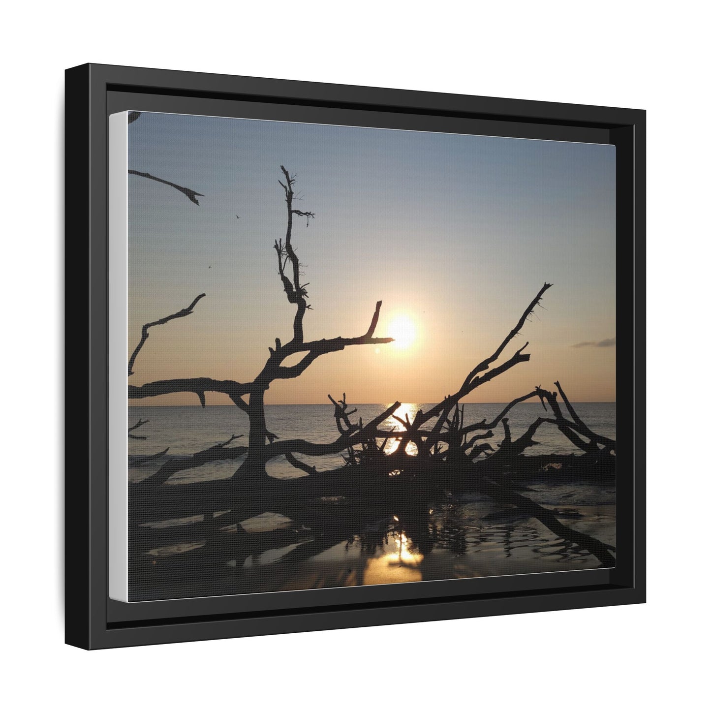 Sunset Driftwood Beach Framed Canvas