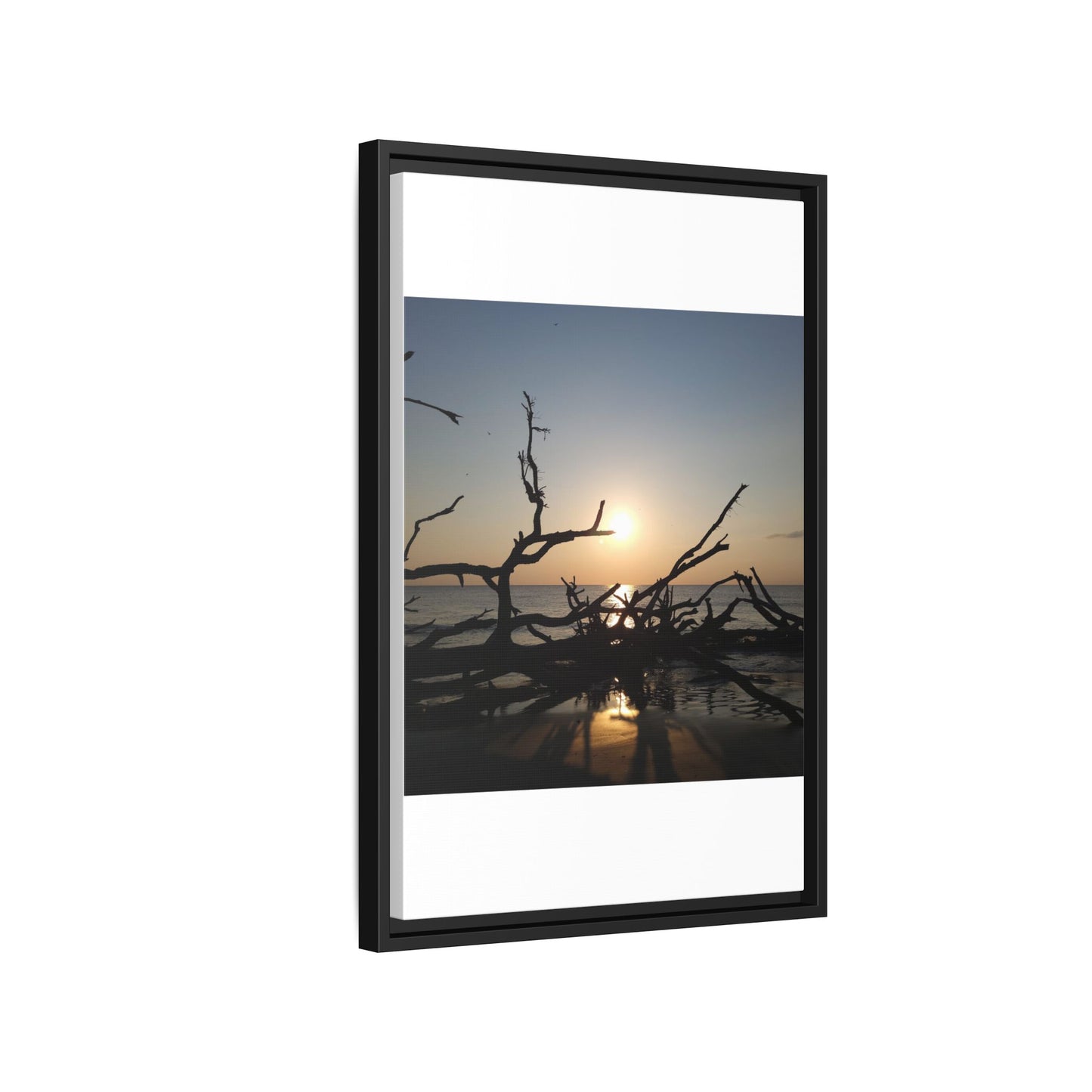 Sunset Driftwood Beach Framed Canvas