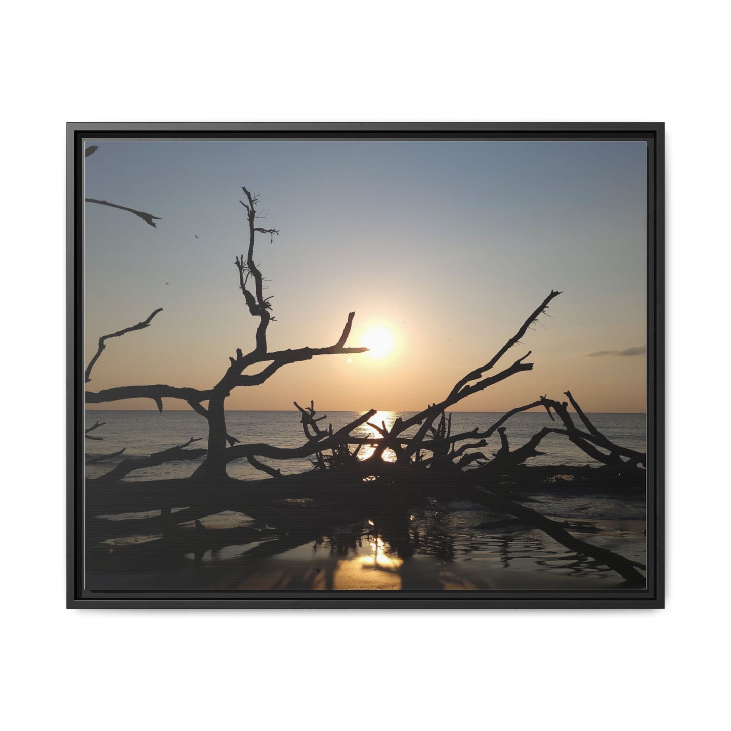 Sunset Driftwood Beach Framed Canvas