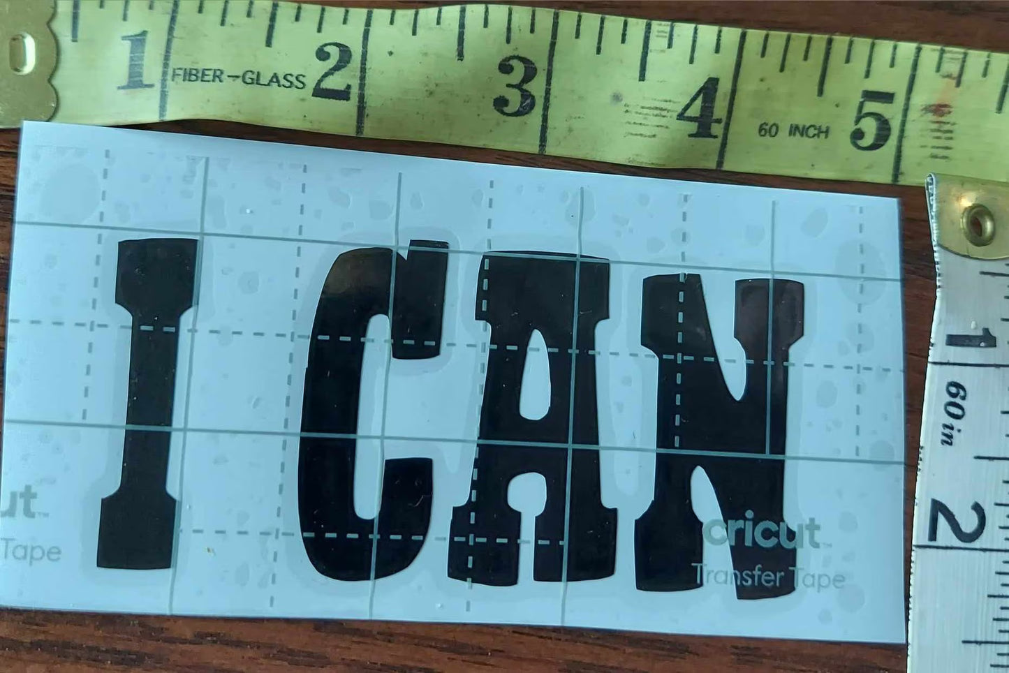 Telluride specific stickers, I can Telluride a Dick, telluride decal, removable vinyl decal for telluride, telluride decal